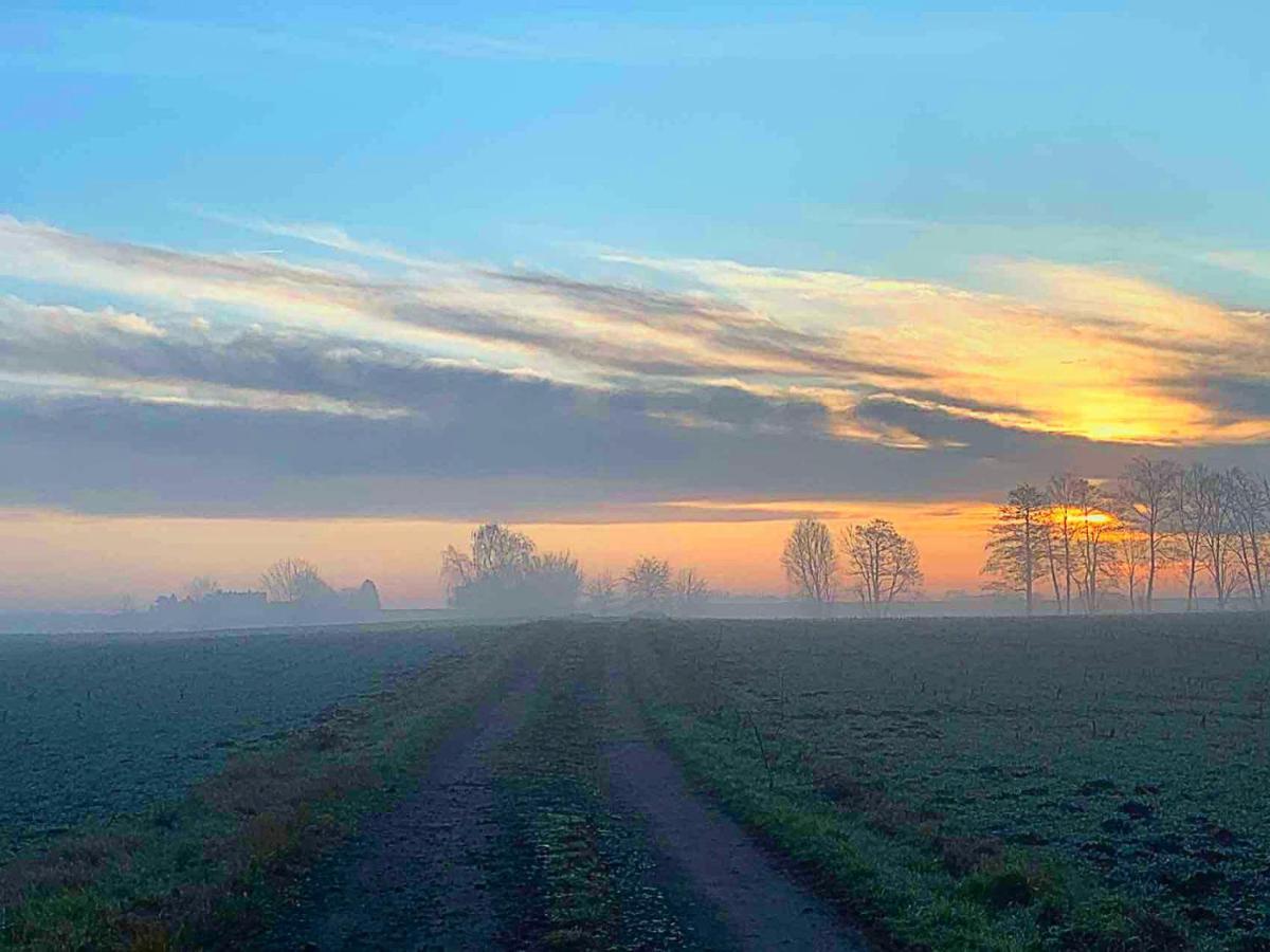 Vierseitenhof Hasenfelde - Ferienwohnung Feldblick Steinhofel Zewnętrze zdjęcie