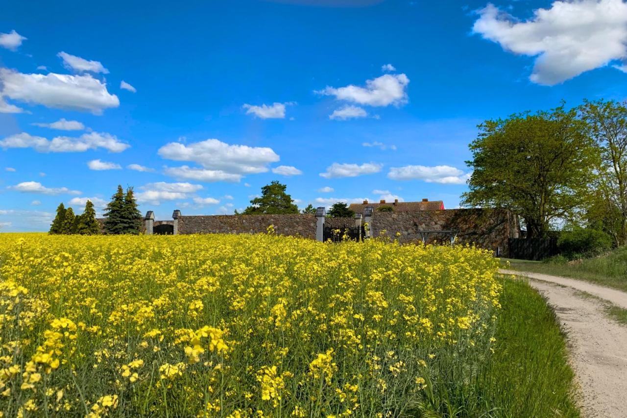 Vierseitenhof Hasenfelde - Ferienwohnung Feldblick Steinhofel Zewnętrze zdjęcie