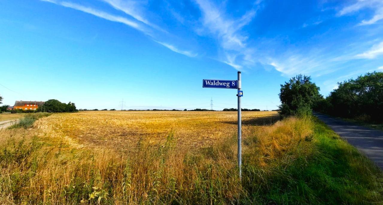 Vierseitenhof Hasenfelde - Ferienwohnung Feldblick Steinhofel Zewnętrze zdjęcie