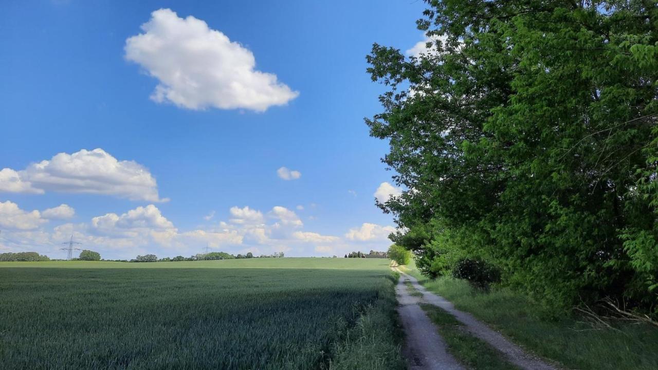 Vierseitenhof Hasenfelde - Ferienwohnung Feldblick Steinhofel Zewnętrze zdjęcie